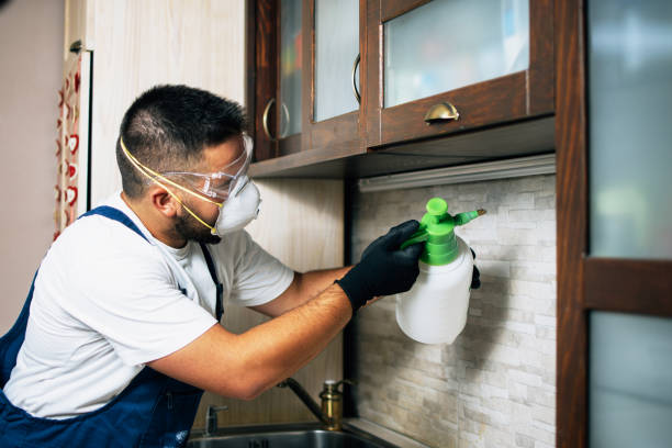 Best Mosquito Control Services  in The Meadows, FL