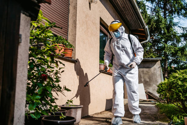 Best Best Pest Control Companies  in The Meadows, FL