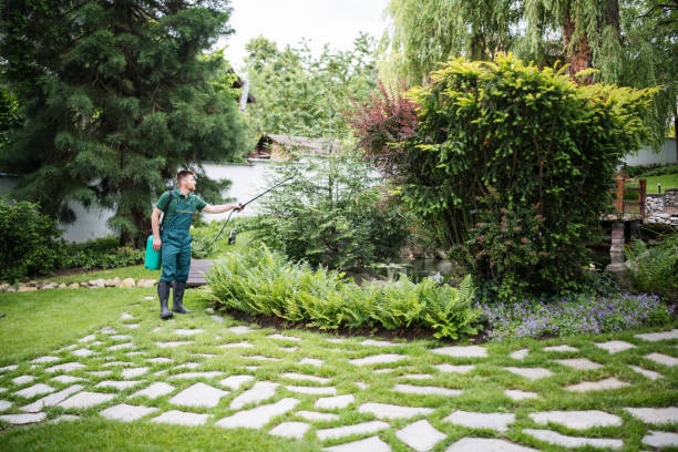 Reliable The Meadows, FL Pest Control Solutions