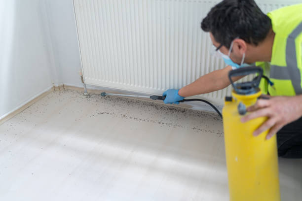 Best Termite Control Services  in The Meadows, FL